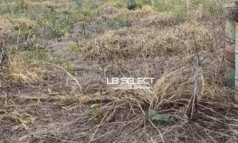 Imagem 2: Terreno no bairro Cidade Jardim com 1000 metros quadrados