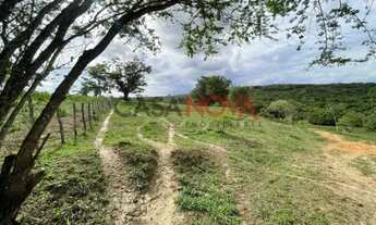 Imagem 7: Fazenda com 70 tarefas em Itaporanga