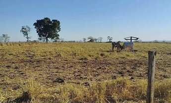Imagem 2: Fazenda à Venda em Bom Jardim (GO) 140 alqueires