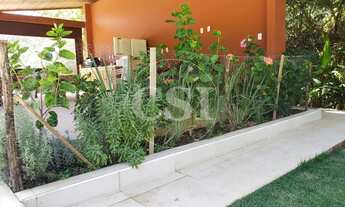 Imagem 4: Sítio à venda em Joaquim Egídio - Campinas