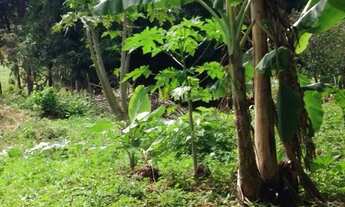 Imagem 3: Alugo Chácara de 9.8 Alqueires (46 hectares) a 50Min de Gyn por 7mil ao mês