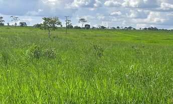 Imagem: Vende-se uma excelente fazenda de 1.100