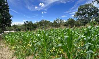 Imagem 6: Vendo Excelente Chácara Em Alexânia Goiás