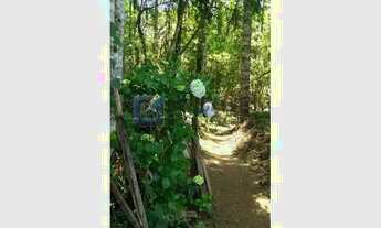 Imagem 3: Terreno Comercial à Venda em Campos do Jordão (Jaguaribe) 1.063 m²