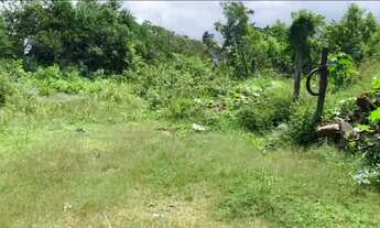 Imagem 2: Terreno na praia do riacho