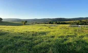 Imagem 6: Fazenda à Venda 308 Alqueires São Luís de Montes Belos - GO