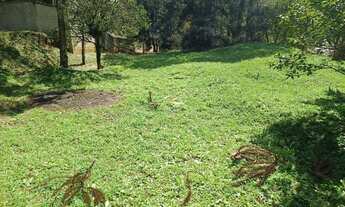 Imagem 7: Terreno em Bateias