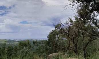 Imagem 5: Oportunidade no Interior de SP: Terrenos de 1.000 m² em São Roque