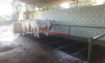 Imagem 6: Tietê - Sítio - Área Rural