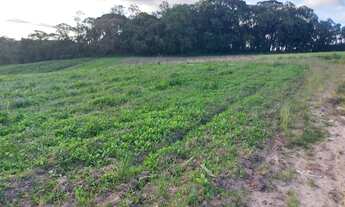 Imagem 2: Lote/Terreno para venda tem 600 metros quadrados em Jardim Felicidade (Zona Norte) - São P