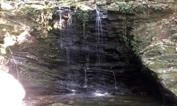 Imagem 2: Fazenda Excelente - Goianésia(GO