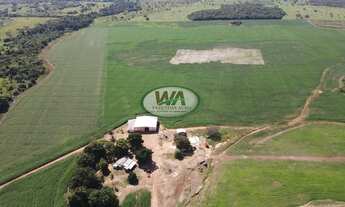 Imagem 7: Fazenda próxima a Divinópolis - TO