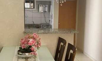 Imagem 6: Portal do Cerrado