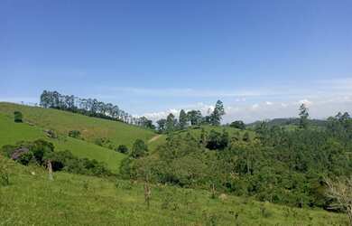 Imagem 10: Gt;> 1000 metros quadrados por R$35 mil à vista