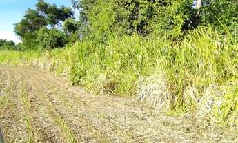Imagem 7: Fazenda/Sítio/Chácara para venda tem 241000 metros quadrados em Zona Rural - Cristianópoli