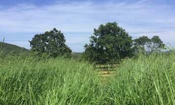 Imagem 3: Fazenda Excelente - Goianésia(GO