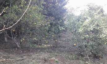 Imagem 4: COD:637 Chácara em Cachoeira de Minas