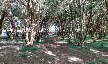 Imagem 7: Area 70 Mil Metros ( Construtoras e empreendimentos ) Ac Negociação