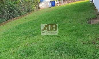 Imagem 5: Chácara para venda tem 2501 metros quadrados com 3 quartos em - Dois Irmãos - RS