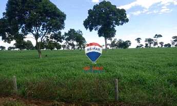 Imagem 3: Fazenda à venda, 10.539 Hectares - Município de Pontes e Lacerda