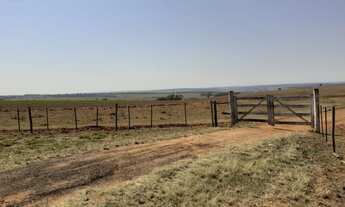 Imagem 6: CERQUEIRA CÉSAR - RURAL - ÁREA RURAL DE CERQUEIRA CÉSAR