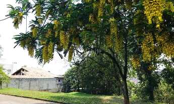 Imagem 3: ÓTIMO TERRENO NO COND PALOS VERDES! 1000m² IMPERDÍVEL!