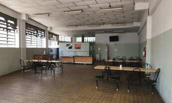 Imagem 4: Galpão em Vila Ribeiro de Barros - São Paulo