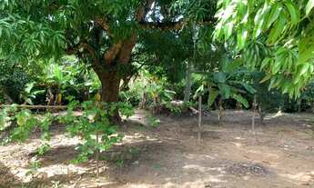 Imagem 4: Ótimo e tranquilo Sítio em Barra de Pojuca a 2 km da BA-099 30.000m2