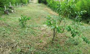 Imagem 5: TERRENO PRAIA DE CABEÇUDAS