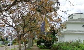 Imagem 2: Terreno em Jurerê Internacional sem vizinho de fundo