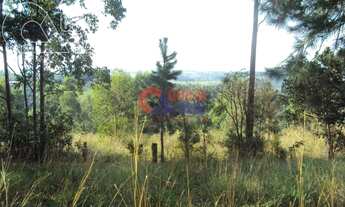 Imagem 6: Gravataí - Sítio - Neópolis