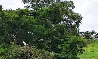 Imagem 5: Lote de 1.000 m² no bairro Santos Dumont - Lagoa Santa/MG