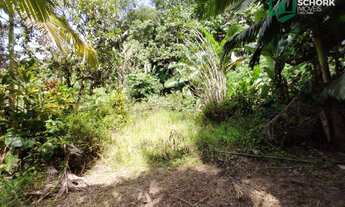 Imagem 5: Sítio à venda, 23834 m² por R$ 250.000,00 - Patrimônio - Massaranduba/SC