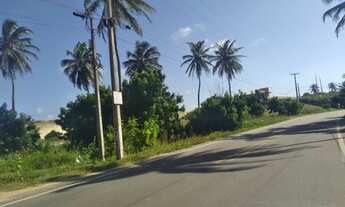 Imagem 6: Vendo terreno praia de flecheiras Trairi ceara brasil