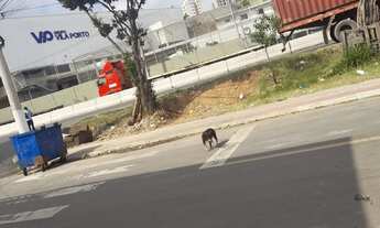 Imagem: Vendo ou troco uma casa