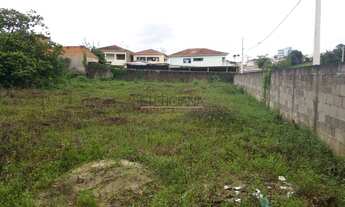 Imagem 2: BORDA DA MATA - Terreno Padrão - Nossa Senhora Aparecida