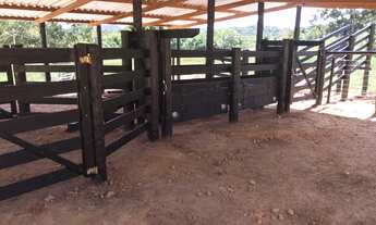 Imagem 16: Sítio 5 alqueires Petrolina de Goiás ( chácara