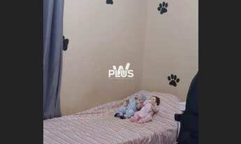 Imagem 7: Casa com 3 dorms, Parque Bela Vista, Votorantim - R$ 535 mil, Cod: 8104