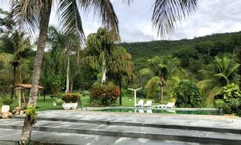 Imagem 7: Fazenda Excelente - Goianésia(GO