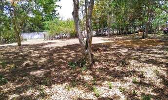 Imagem 6: Área à venda, 50000 m² por R$ 1.600.000,00 - Aldeia - Camaragibe/PE