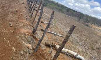 Imagem 6: Ótima Fazenda top com 98 hectares na região de São Paulo do Potengi