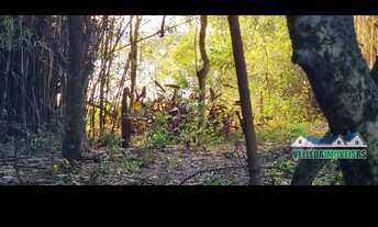 Imagem 5: Sitio diferenciado em águas claras, 2,5 hectares com fundos para lagoa