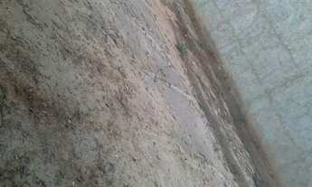 Imagem 3: Terreno Terreno / lote com venda por R$70.000