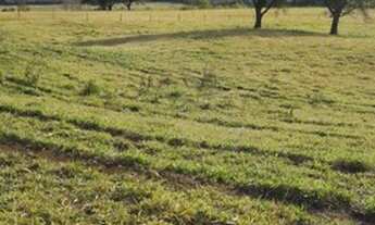 Imagem 6: Fazendas e citio