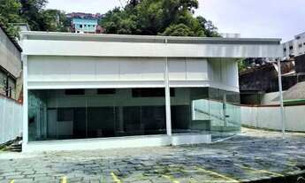 Imagem: Aluga-se excelente galpão na Coronel Veiga