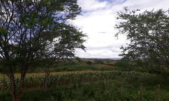 Imagem 4: Vende-se excelente Fazenda em Gravatá com 11.7 hectares. Referência: 0275