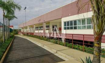 Imagem 3: Excelente Galpão para Locação com 1.500 m² Guarulhos/SP Confira!