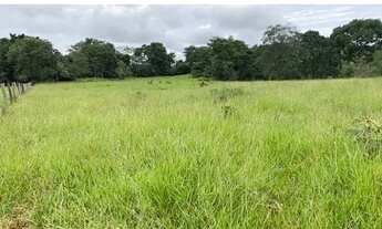 Imagem 4: Chácara em Itaberai 5.5 alqueires