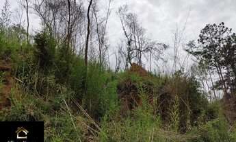 Imagem 4: Vendo Lotes no bairro Retiro de Paty em Paty do Alferes - RJ