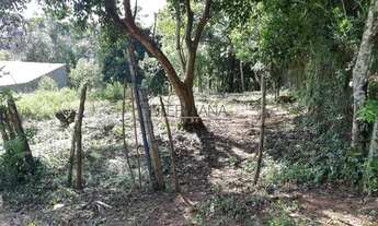 Imagem 7: BORDA DA MATA - Terreno Padrão - Centro